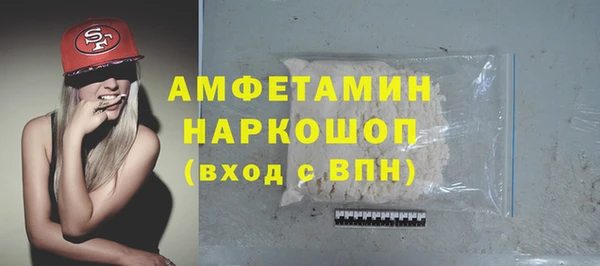 PSILOCYBIN Алзамай