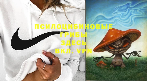 PSILOCYBIN Алзамай