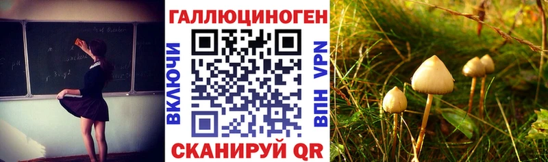 Псилоцибиновые грибы ЛСД  магазин  наркотиков  Макушино 